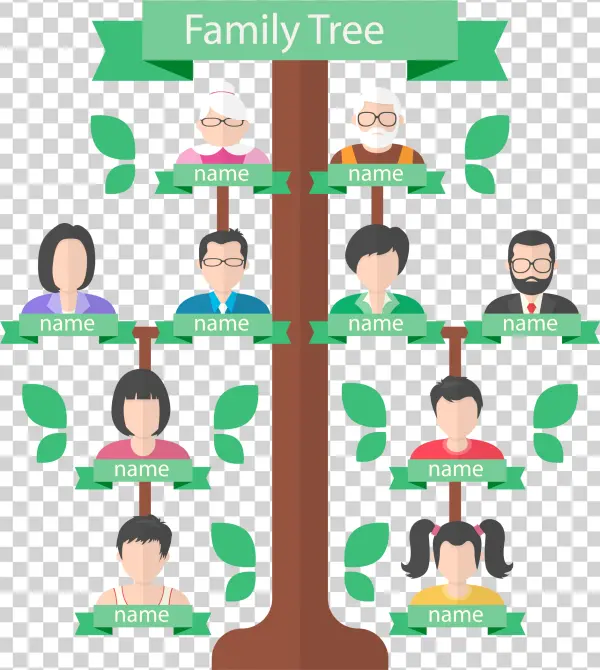 Flat Design Family Tree Diagram PNG Transparent