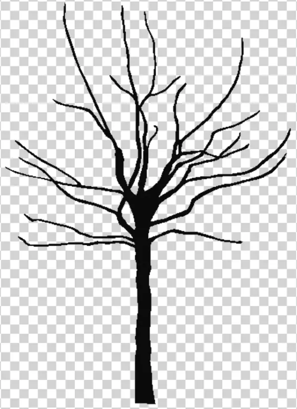Bare Tree Silhouette PNG Transparent Background