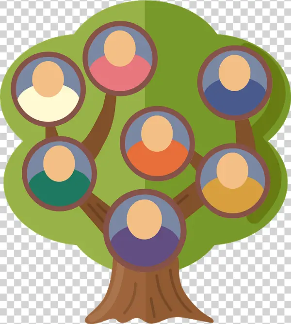 Stylized Family Tree Diagram PNG