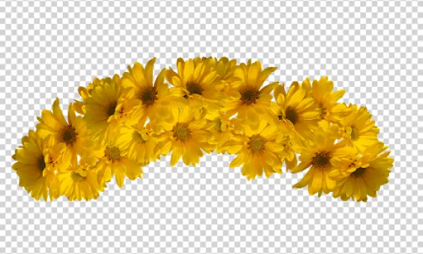 Yellow Daisy Flower Border PNG Transparent