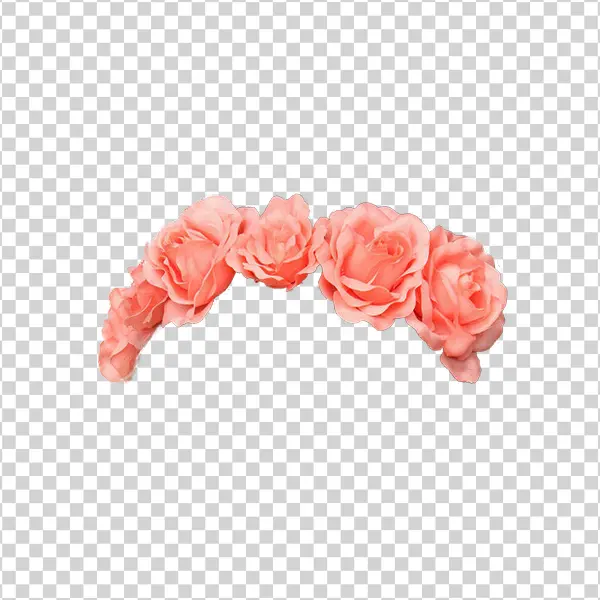 Pink Rose Flower Crown PNG Transparent