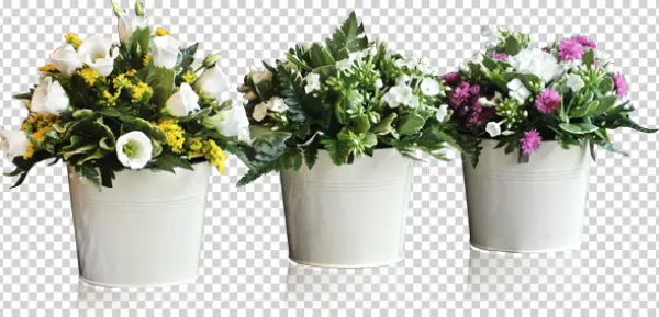 Three Flower Pots with Assorted Blooms PNG