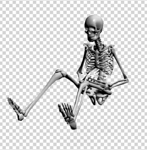 Sitting Human Skeleton 3D Render PNG