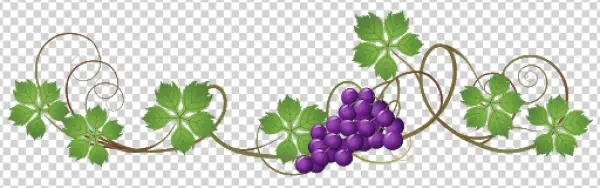 Decorative Grapevine with Purple Grapes PNG Transparent