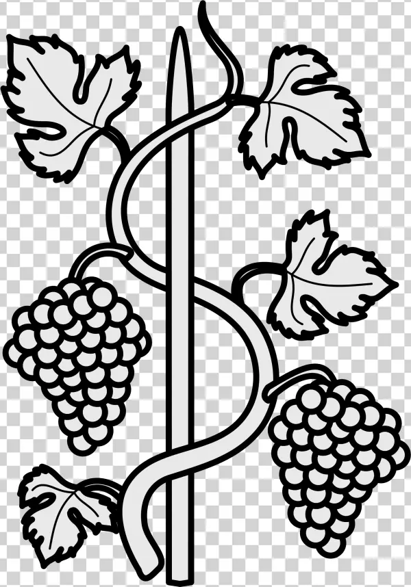 Stylized Grapevine and Grapes PNG