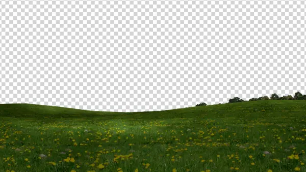 Grassy Hill with Dandelions PNG Transparent Background