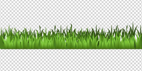 Green Grass Border PNG Transparent Background
