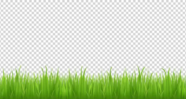 Green Grass Transparent Background PNG