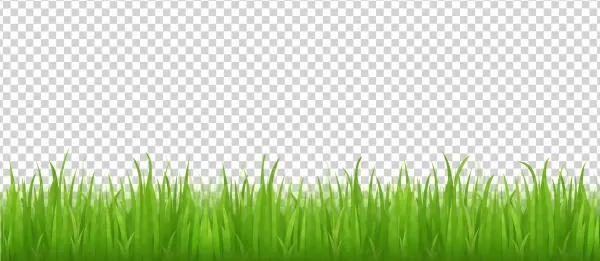 Green Grass Border PNG Transparent Background
