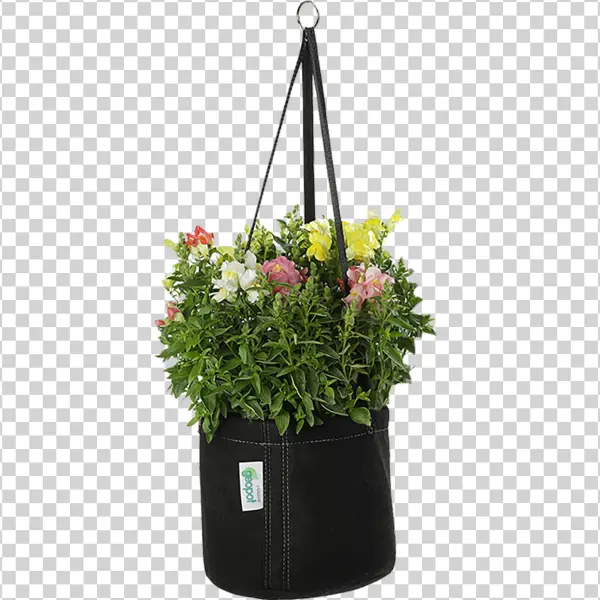 Hanging Flower Basket PNG Transparent Background