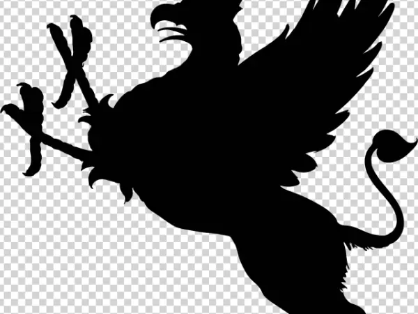 Solid Black Background PNG Transparent