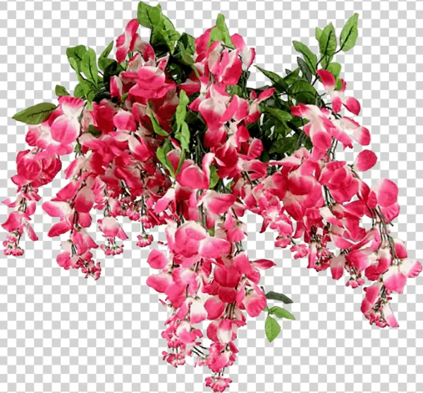 Pink Hanging Flowers PNG Transparent Background
