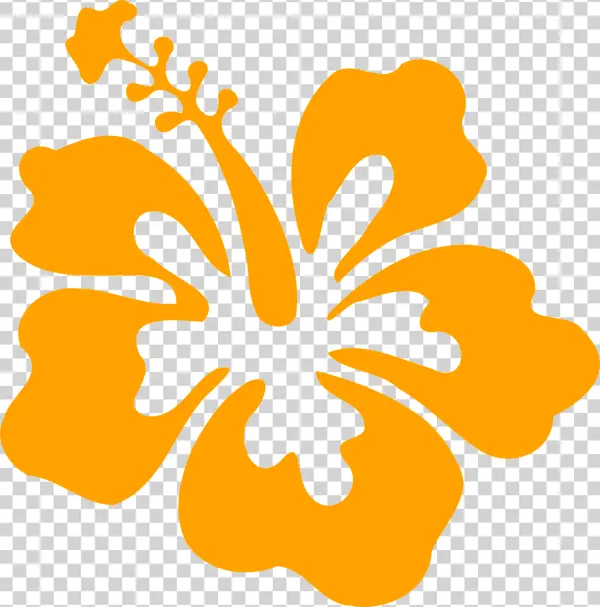 Orange Hibiscus Flower PNG Transparent Background