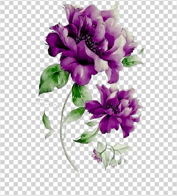 Vibrant Purple Watercolor Flowers PNG
