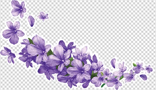 Elegant Purple Flowers Arrangement PNG