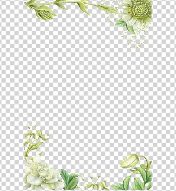 Watercolor Floral Corner Frame PNG Transparent