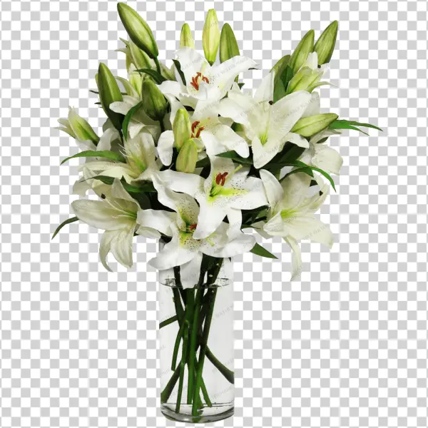 White Lilies in Glass Vase PNG Transparent Background