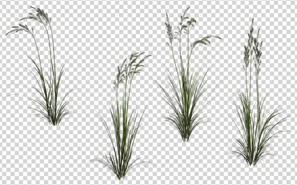 Green Grass Clumps PNG Transparent Background