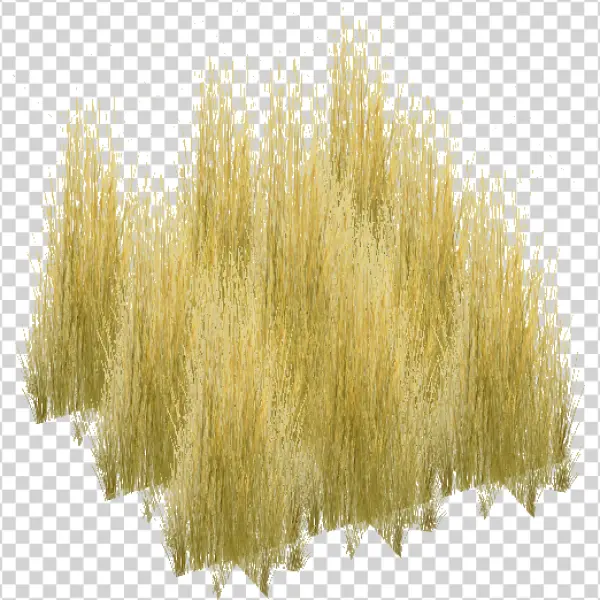 Dry Grass Clump Transparent PNG