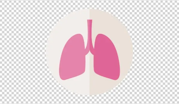 Pink Lungs Icon PNG Transparent Background