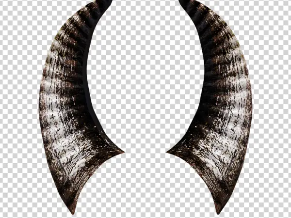 Realistic Curved Animal Horns PNG