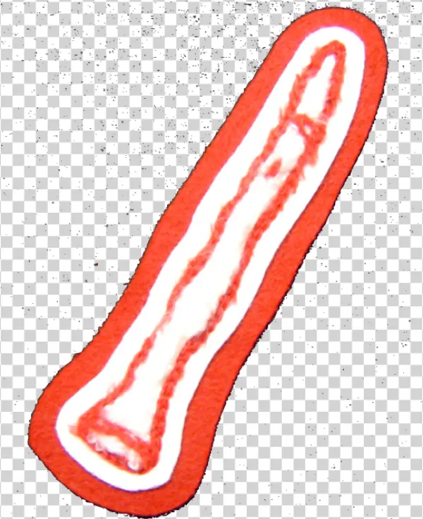 Microscopic Biological Cross-Section PNG