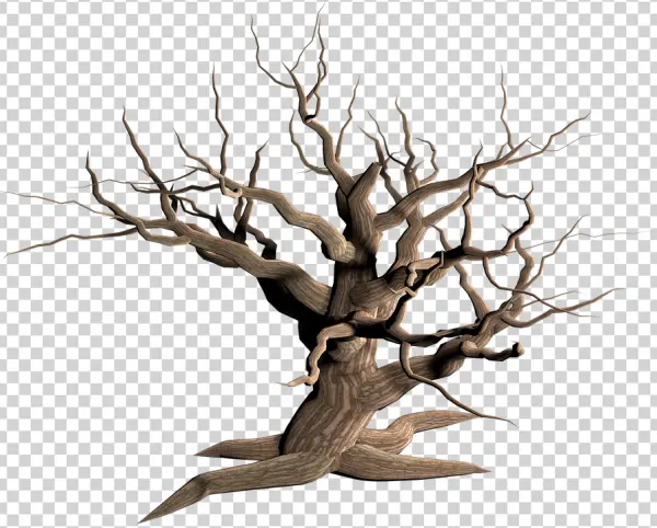 Creepy Dead Tree PNG Transparent Background