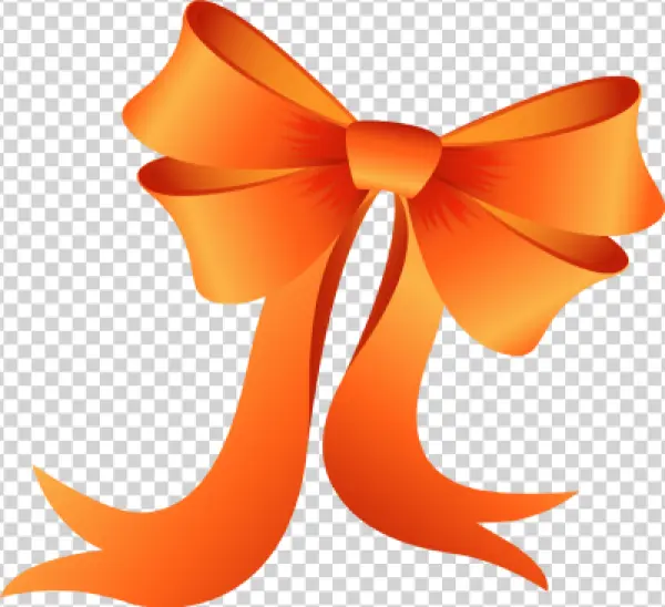 Orange Gift Bow PNG Transparent Background