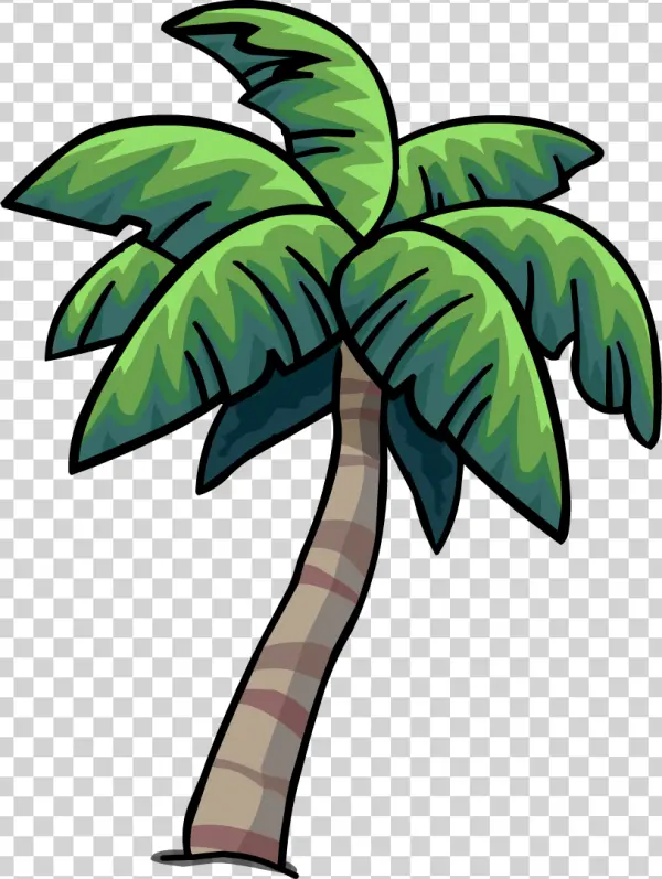 Cartoon Palm Tree PNG Transparent Background
