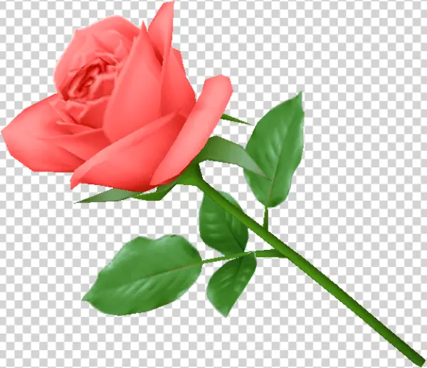 Red Rose with Green Stem Transparent PNG