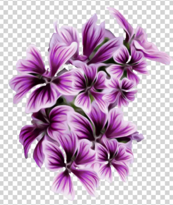 Purple Striped Flowers PNG Transparent Background