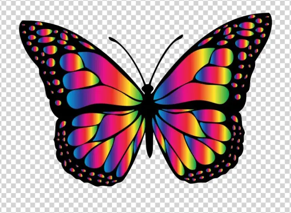 Colorful Rainbow Butterfly PNG Transparent Background