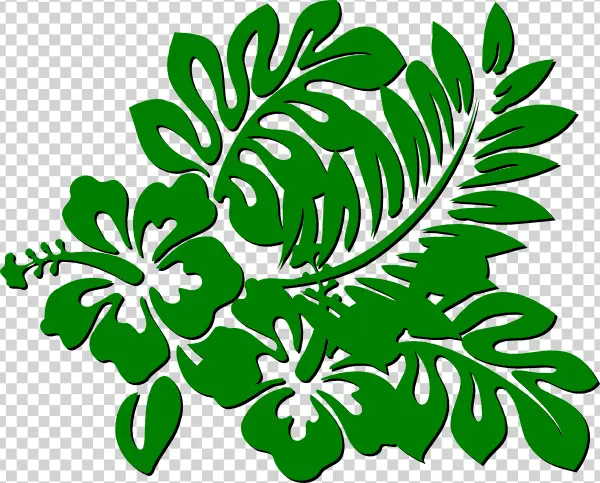 Green Tropical Flowers and Leaves PNG Transparent