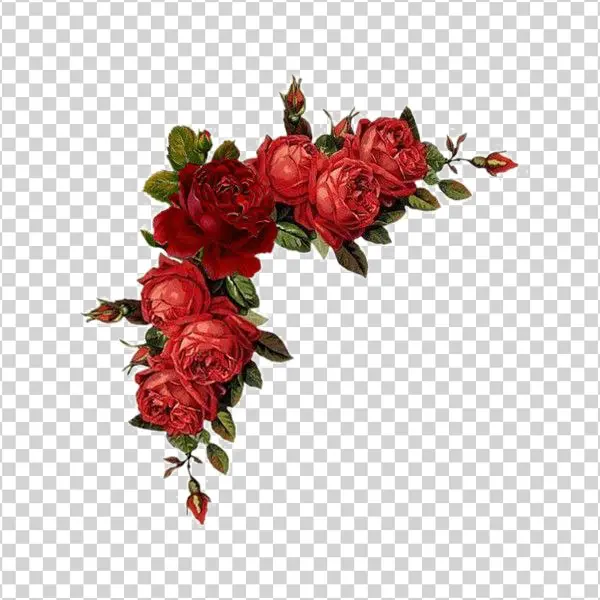 Red Rose Corner Bouquet PNG Transparent Background