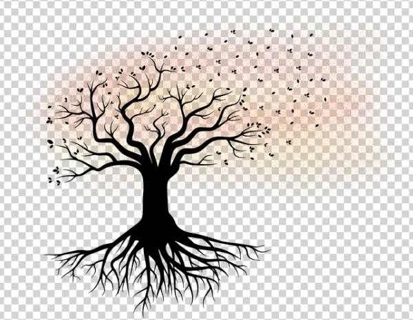 Vibrant Autumn Tree Silhouette PNG