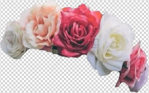Mixed Roses Flower Crown PNG Transparent