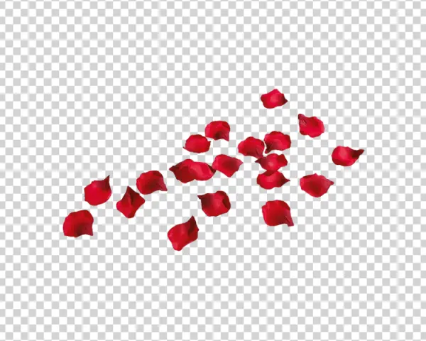 Red Rose Petals PNG Transparent Background