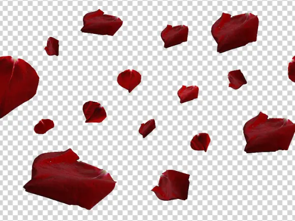 Red Rose Petals Falling PNG Transparent Background