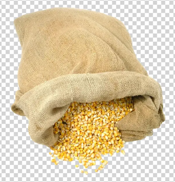Burlap Sack with Spilled Corn Kernels PNG