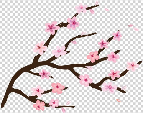 Cherry Blossom Branch PNG Transparent Background