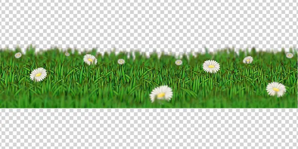 Green Grass with Daisies Border PNG
