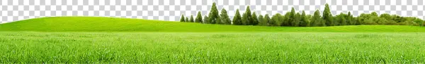 Vibrant Green Field and Forest PNG Transparent Background