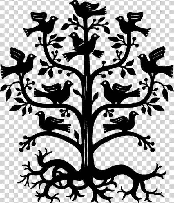 Fully Transparent PNG Background