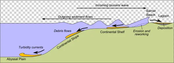 Ocean Floor Geological Diagram with Turbidity Currents
