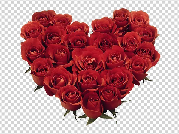 Red Roses Heart Shape PNG Transparent Background