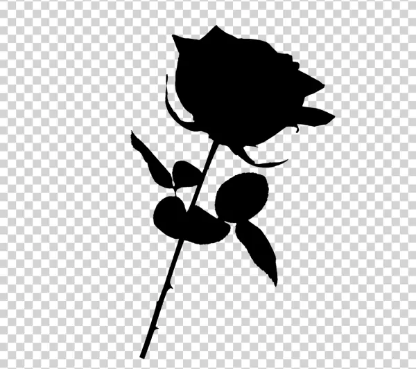 Solid Black Square Transparent PNG