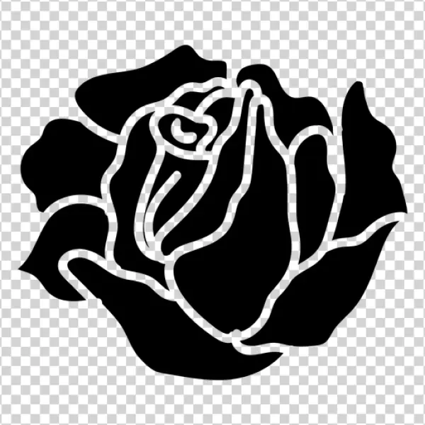 Blank Transparent PNG Canvas