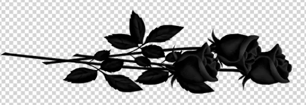 Elegant Black Roses Arrangement PNG