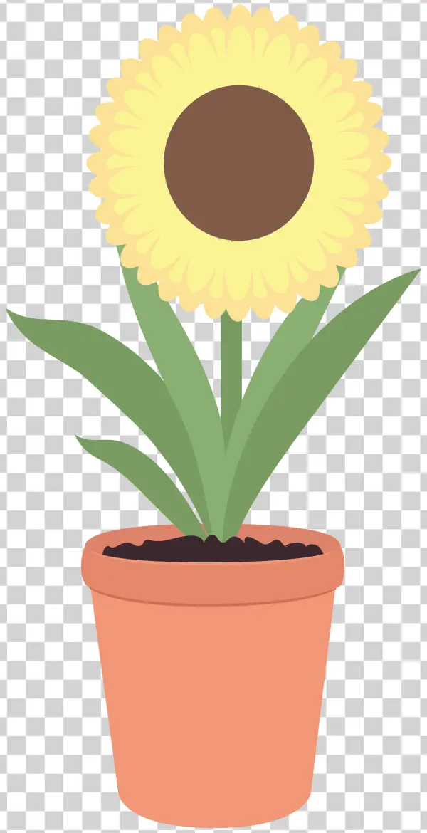 Cartoon Potted Sunflower PNG Transparent Background