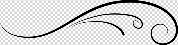 Elegant Black Swirl Flourish Design Element PNG